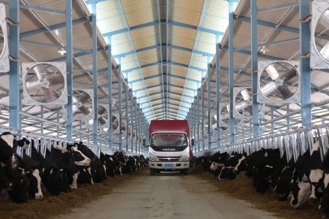 b5157550-ec7b-4e63-8ad9-16d78eb58182